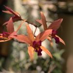 Eileen Webber - @robineileenwalker - Instagram