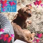 Eileen Weeks - @eileen.weeks.37 - Instagram