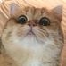 Eileen Wei - Facebook