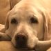 Eileen Weiner - Facebook