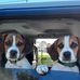 Eileen Welton - Facebook