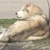 Eileen Wendt - Facebook