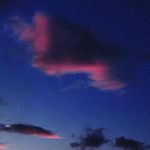 Sima Flohr - @eileengschwendtner432 - Instagram