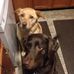 Eileen Weiss- Wesley - Facebook