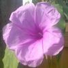 Eileen Wesley - @eileen.wesley - TikTok