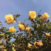 Eileen W - @eileen.westergard - TikTok