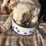 Eileen Wheeler - @eileenwheeler59 - Instagram