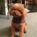 Eileen Wheeler - Facebook