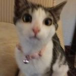 Eileen Whiting - @eileenwhiting - Instagram