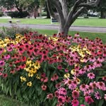 Eileen Hooley Hull - @eileenmhull - Instagram