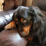 Eileen Whooley - @eileen.whooley - Instagram
