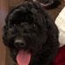 Eileen Willison - Facebook