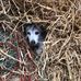 Eileen Wild - Facebook