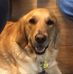 Eileen Wild - Facebook