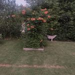 Eileen Wilder - @eileen.wilder.7127 - Instagram