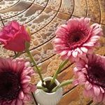 Eileen Wildes - @eileenwildes - Instagram
