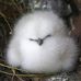 Eileen Wilder - Facebook