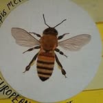 Eileen Wiley - @eileen.wiley.10 - Instagram