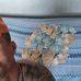 Wiler Alan - Facebook