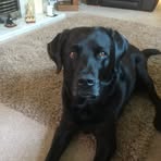 Eileen Wilkinson - Facebook