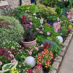 Eileen Willoughby - @eileen.willoughby.1 - Instagram