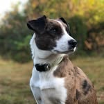 Eileen wilmoth - @wilmoth.eileen - Instagram