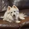 Eileen Ewing - @eileen.ewing - TikTok