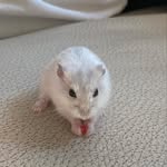 Eileen Wing Yue - @eileenywl - Instagram