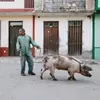 eileenewinston - @eileenewinston - TikTok