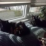 Eileen Winters - @beezch - Instagram