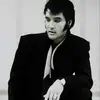 Eileen Wolf - @graceland1977 - TikTok