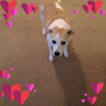 Eileen Wolfe - @eileen.wolfe.568 - Instagram