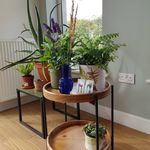Eileen Woods - @erm.woods - Instagram