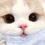 Eileen WU - @nov_eleven - Instagram