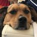 Eileen Wynne - Facebook