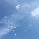 Eileen Wynne Lichtblau - @wynnelichtblau - Instagram