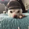 Eileen Yates - @emyates22 - TikTok