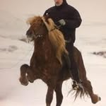 Einar Gíslason - @einar.gislason - Instagram