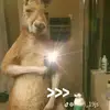 tin canguro - @gabrieljusuelopez - TikTok