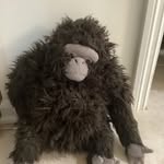 Eitan barak - @eitan8845 - Instagram
