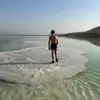 איתן וולפיש - @eitanwolfish - TikTok