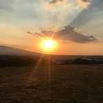 E - @eithne5ryan - Instagram