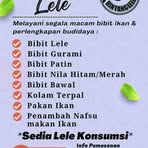 Eka Prasetya - Facebook