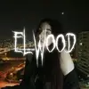 🦎ELWOOD🦎 - @elwood_br - TikTok