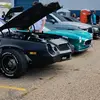 Elwood - @swfl.tayzer - TikTok