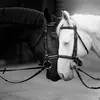Ela_Mata - @user8817406727259 - TikTok