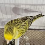 Mohammad - @ela.mata.48 - Instagram