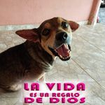 Eladia Martinez - @eladiamartinez081 - Instagram