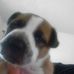 Elaina Russell - Facebook