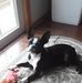 Elaine Townsend - Facebook